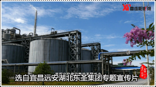 宜昌东圣宣传片