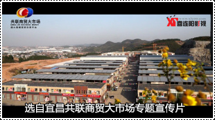 共联商贸大市场专题