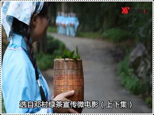 宜昌绿茶微电影