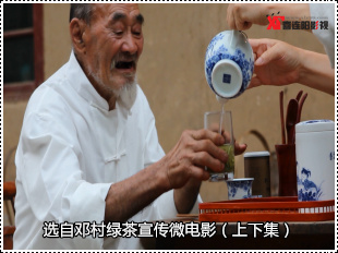 宜昌绿茶微电影
