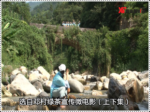 宜昌绿茶微电影