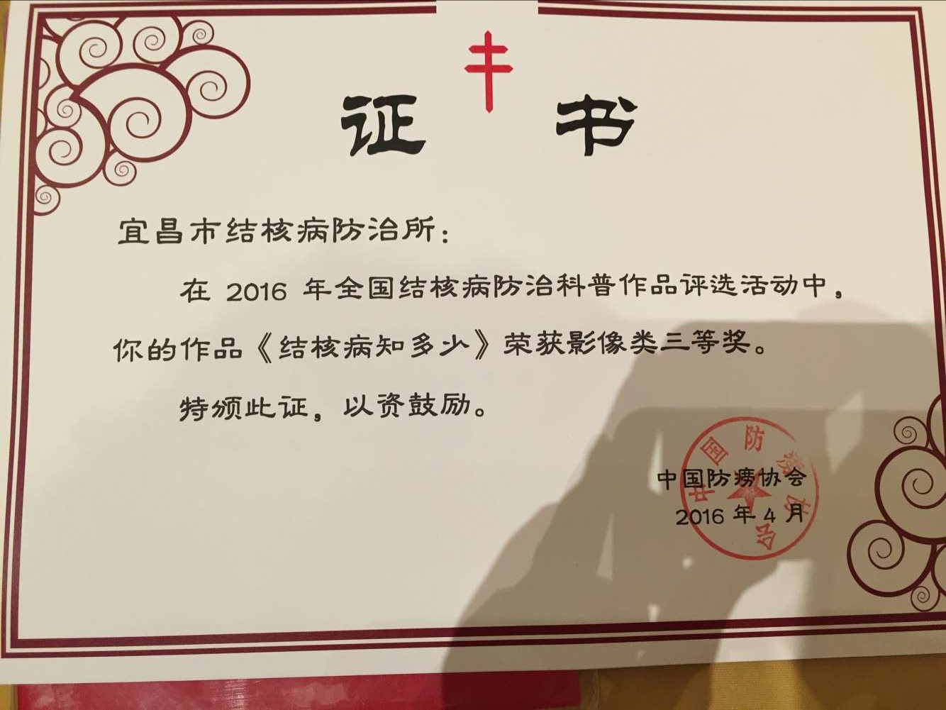 宜昌防结核动画